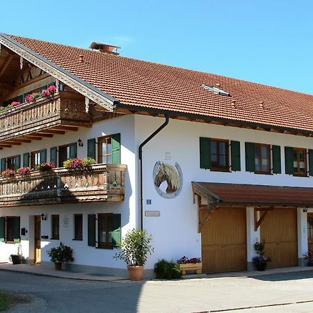 Ferienwohnung Erhard Schonberg  Экстерьер фото